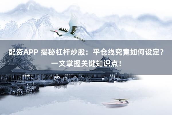 配资APP 揭秘杠杆炒股：平仓线究竟如何设定？一文掌握关键知识点！