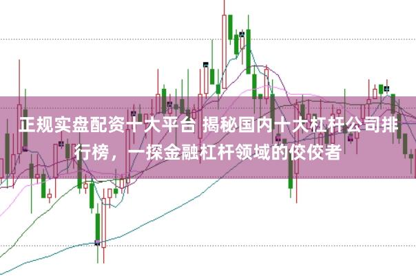 正规实盘配资十大平台 揭秘国内十大杠杆公司排行榜，一探金融杠杆领域的佼佼者