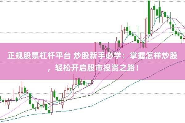 正规股票杠杆平台 炒股新手必学：掌握怎样炒股，轻松开启股市投资之路！