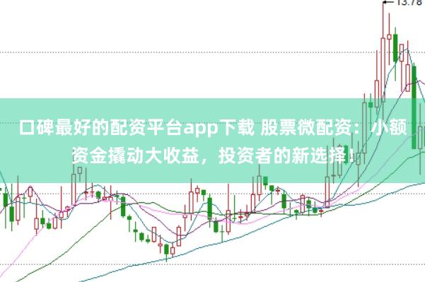 口碑最好的配资平台app下载 股票微配资：小额资金撬动大收益，投资者的新选择！