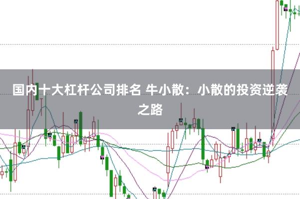 国内十大杠杆公司排名 牛小散：小散的投资逆袭之路