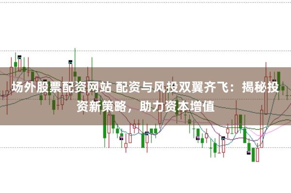 场外股票配资网站 配资与风投双翼齐飞：揭秘投资新策略，助力资本增值