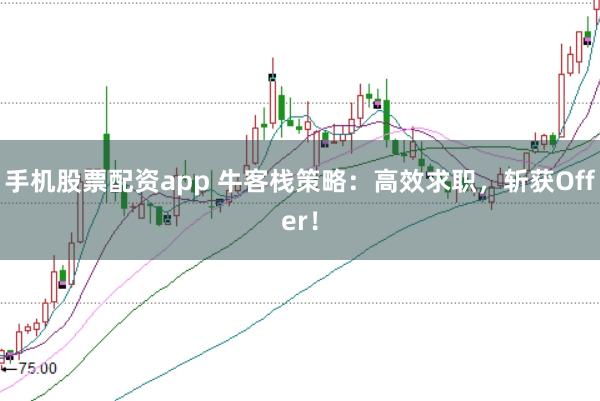 手机股票配资app 牛客栈策略：高效求职，斩获Offer！