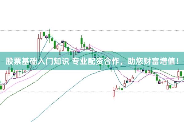 股票基础入门知识 专业配资合作，助您财富增值！