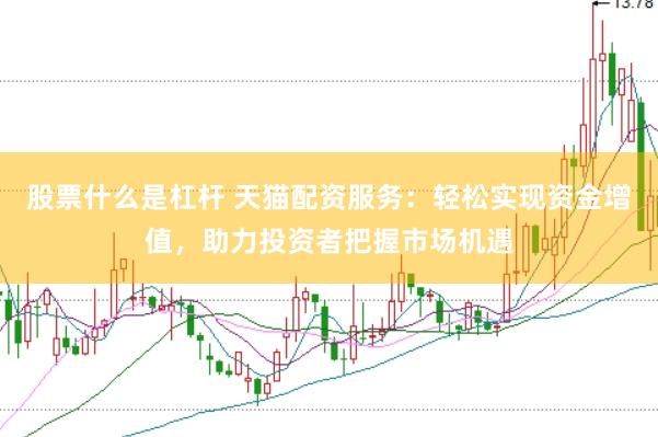 股票什么是杠杆 天猫配资服务：轻松实现资金增值，助力投资者把握市场机遇