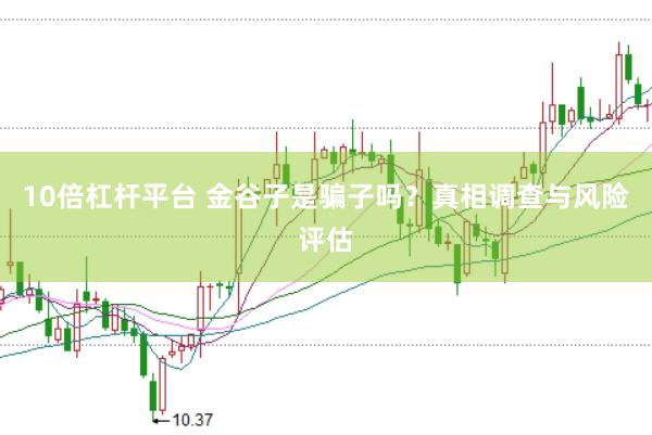 10倍杠杆平台 金谷子是骗子吗？真相调查与风险评估