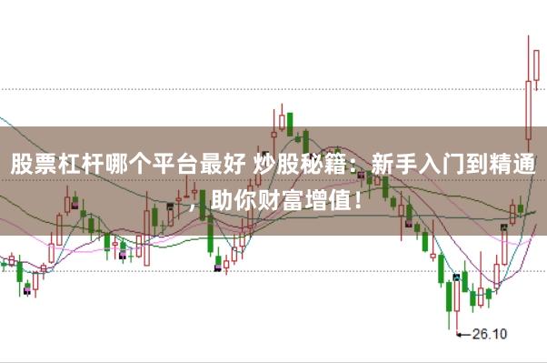 股票杠杆哪个平台最好 炒股秘籍:新手入门到精通,助你财富增值!