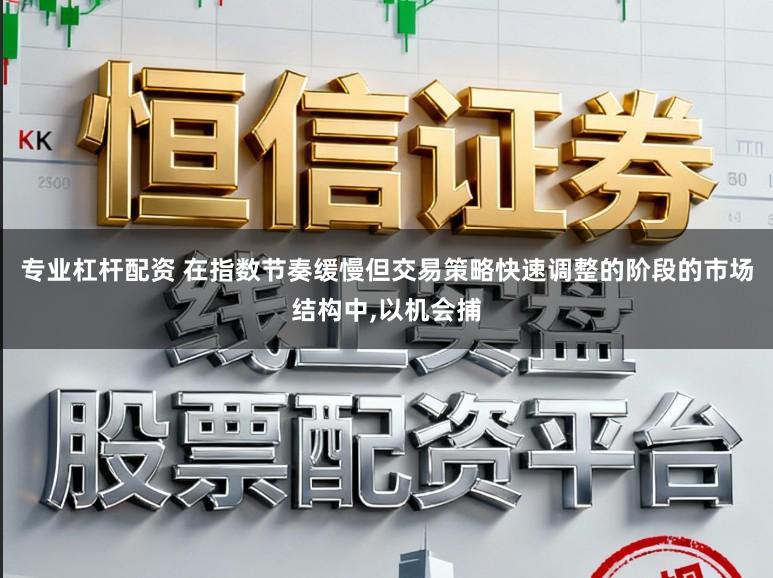 专业杠杆配资 在指数节奏缓慢但交易策略快速调整的阶段的市场结构中，以机会捕