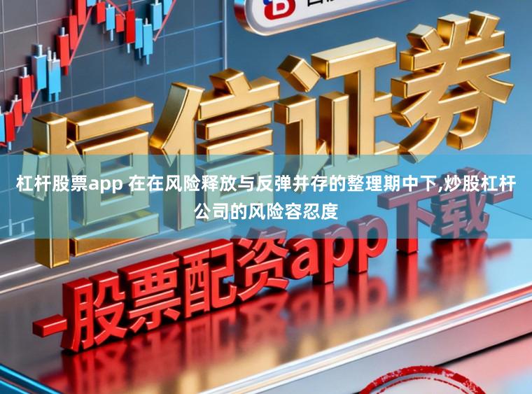 杠杆股票app 在在风险释放与反弹并存的整理期中下,炒股杠杆公司的风险容忍度