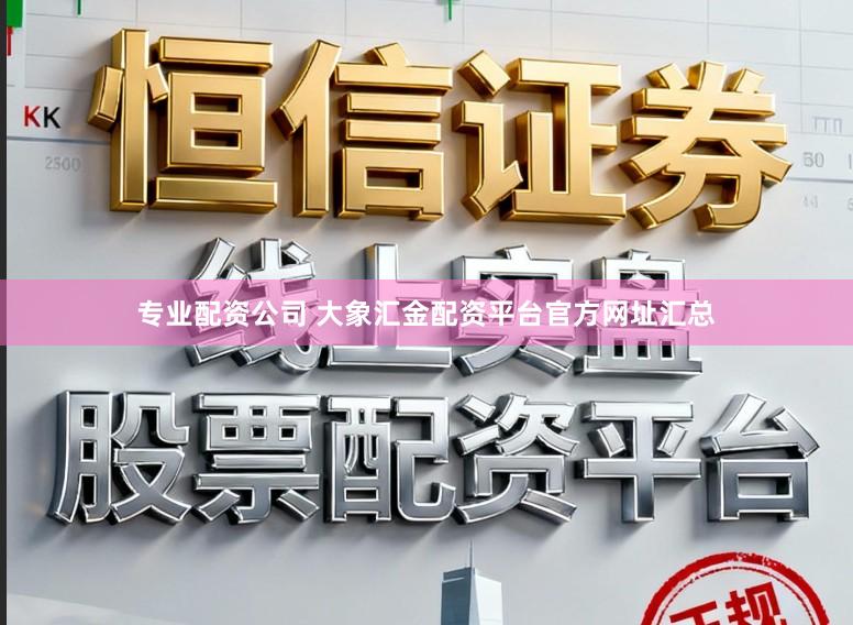 专业配资公司 大象汇金配资平台官方网址汇总